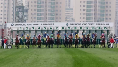 how many horses can each trainer have hong kong