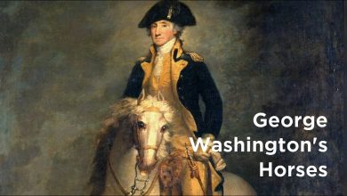 What was the color of george washington's white horse