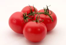 Tomato - Wikipedia