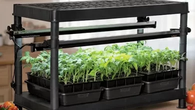 Seed starting system with adjustable grow lights