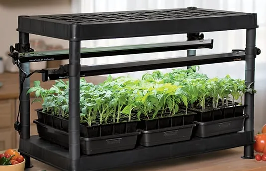 Seed starting system with adjustable grow lights