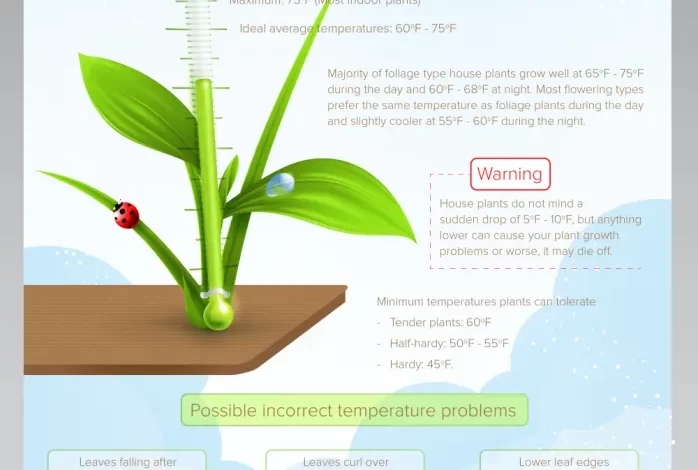 House and Indoor Plants Temperature Guide - House Plants Guide and Tips