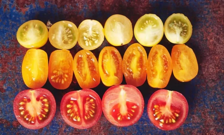 White Spots Inside Tomatoes - 6 Worst Causes!