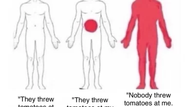 Where did they throw tomatoes at you?" : r/bonehurtingjuice