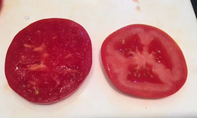 Tomato on the left grown on my grandmother's farm vs one bought at the grocery store. : r/mildlyinteresting