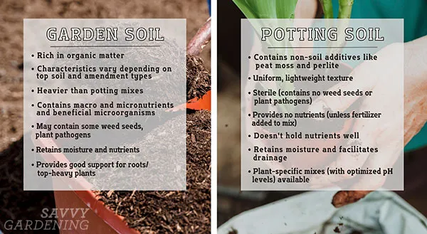 Garden Soil vs Potting Soil: Learn the Differences
