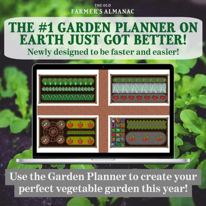garden_planner_no_link_0_full_width.jpg