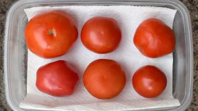 How to Store Fresh Tomatoes