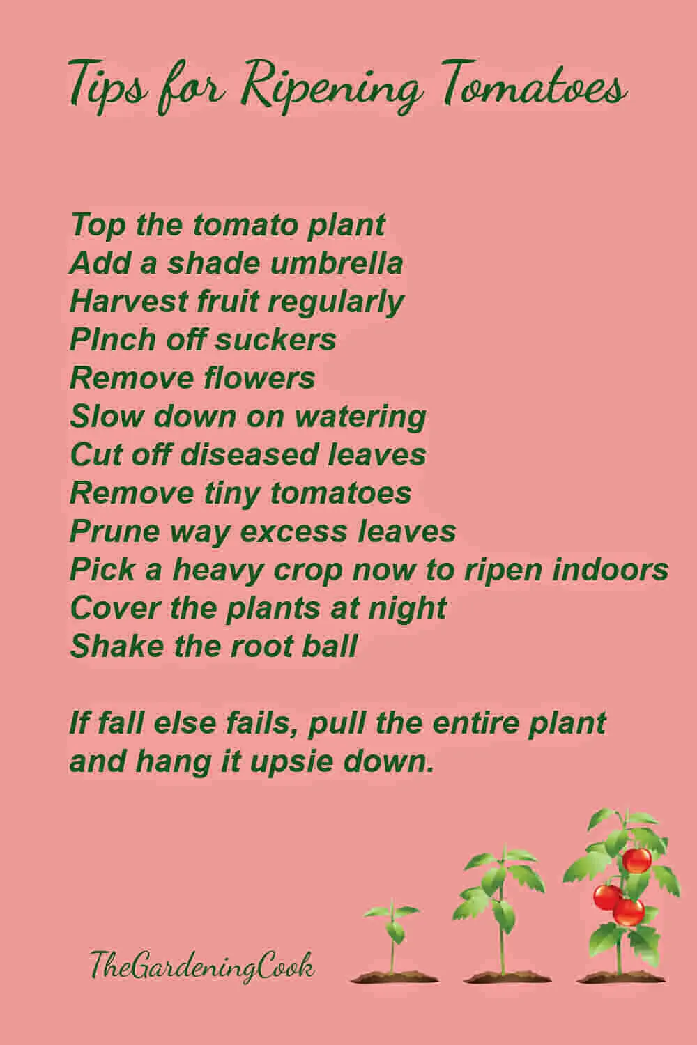 Printable with tips for ripening tomatoes on the vine.