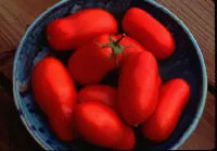 Renee's Garden Pompeii tomatoes in a bowl.