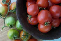 Renee's Garden Camp Joy Heirloom tomatoes in a bowl.