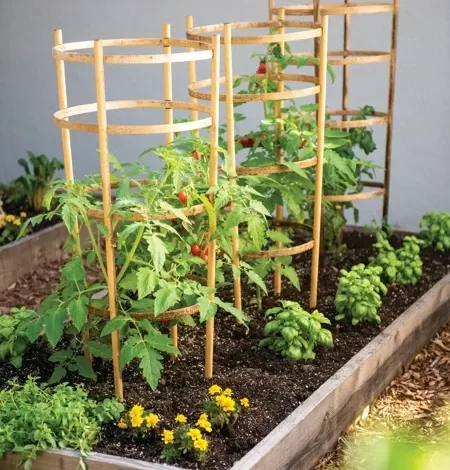 Bamboo Tomato Cages, Set of 3