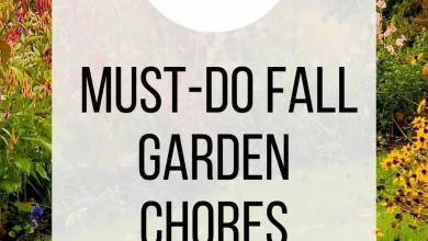 10 Must-Do Fall Garden Chores - Stacy Ling