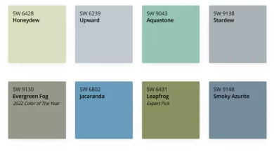 What are the new decorating colors for 2024?