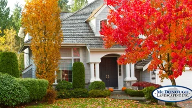 8 Ways To Boost Your Home's Fall Curb Appeal - McDonough Landscaping | Woodbury and Cottage Grove Landscape Company