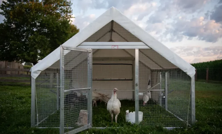 3 Mobile Coops for Chickens, Ducks or Turkeys | Easy to Move