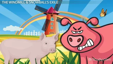 Snowball in Animal Farm | Characteristics & Analysis - Video & Lesson Transcript | Study.com