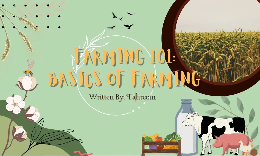 Farming 101: Basics Of Farming - Youth in Food Systems
