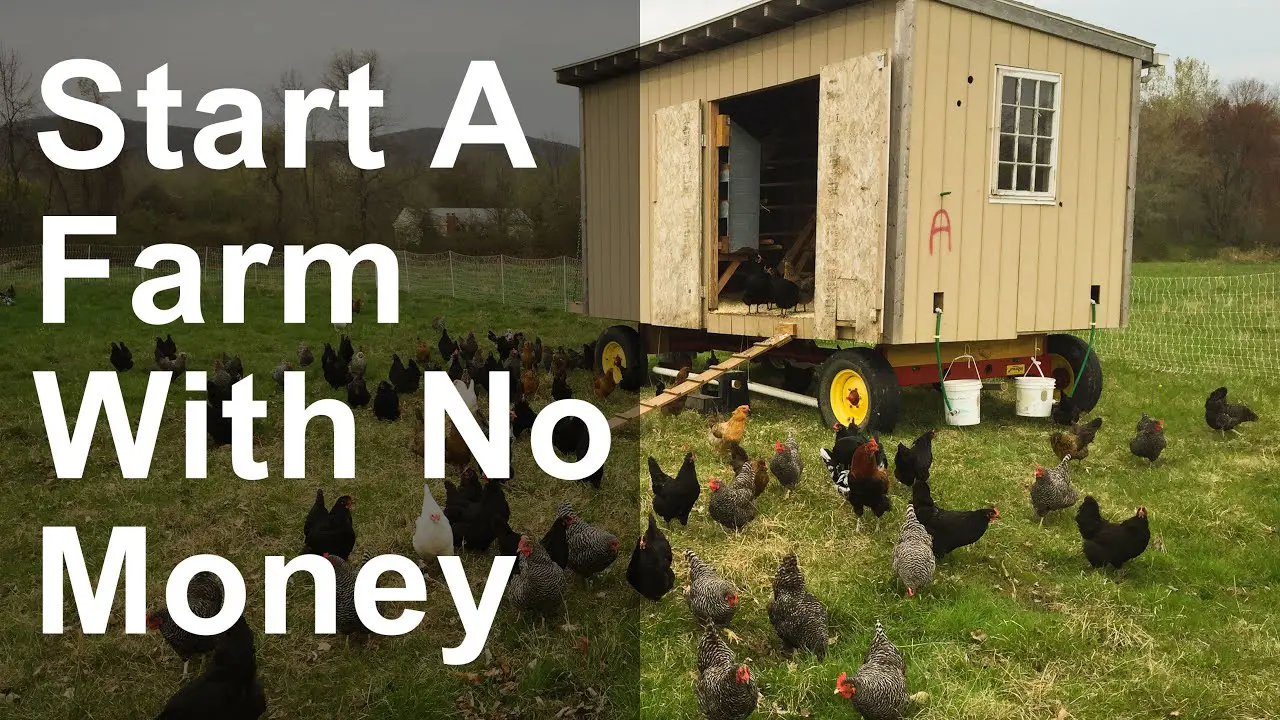 How to Start a Farm with No Money - YouTube