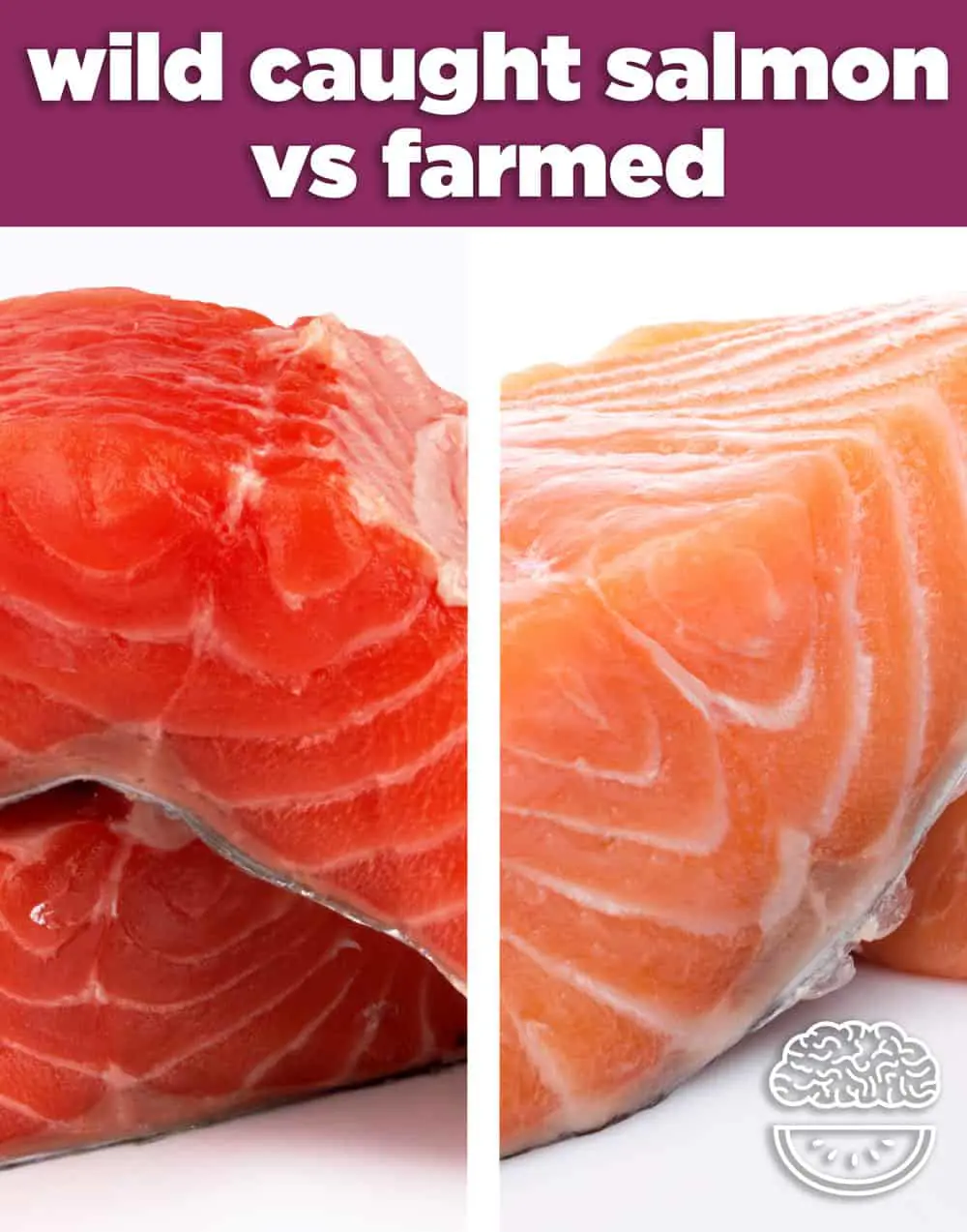Wild Caught Salmon vs Farm Raised: Pros and Cons - Mind Over Munch