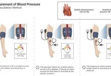 Blood Pressure: Definition, Measurement, Mechanism