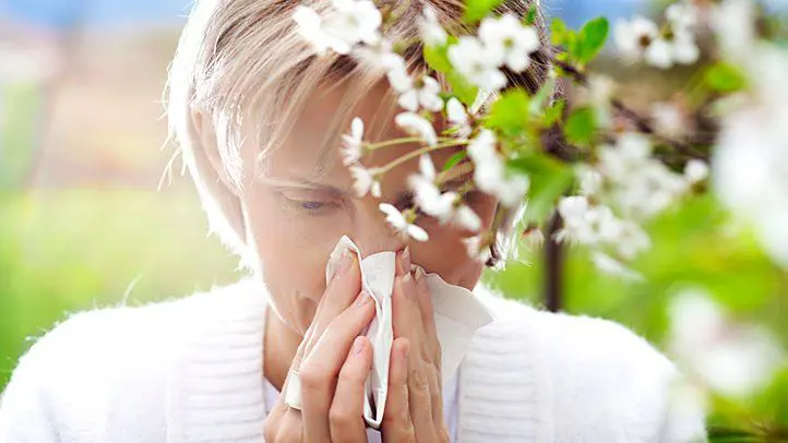 Dangers of Allergy Meds for Your Heart